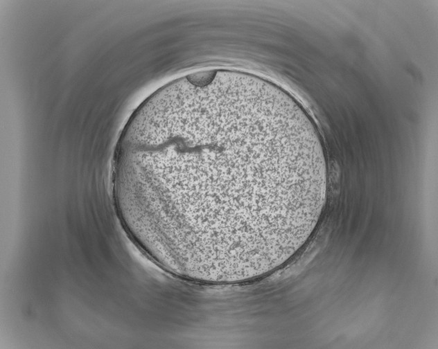 X0000112061535200909010952