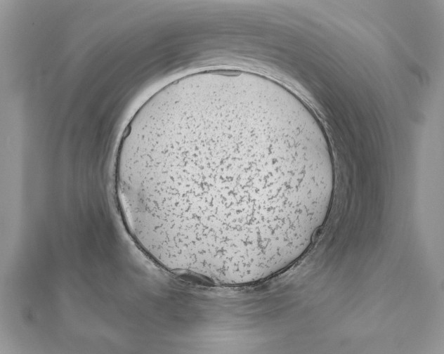 X0000112061536200909010952