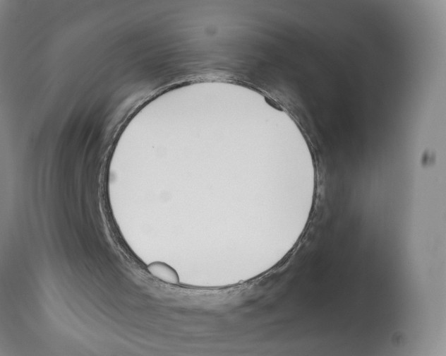 X0000112060001200909151036