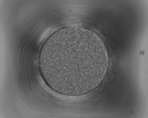 X0000112060002200909151036