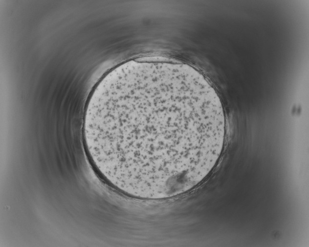 X0000112060003200909151036