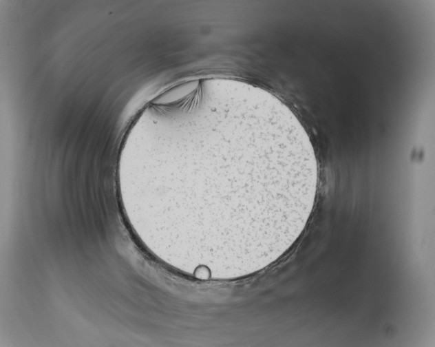 X0000112060004200909151036