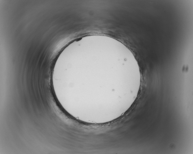 X0000112060005200909151036
