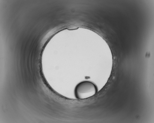 X0000112060007200909151036