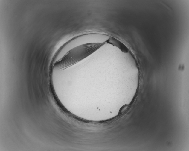 X0000112060008200909151036