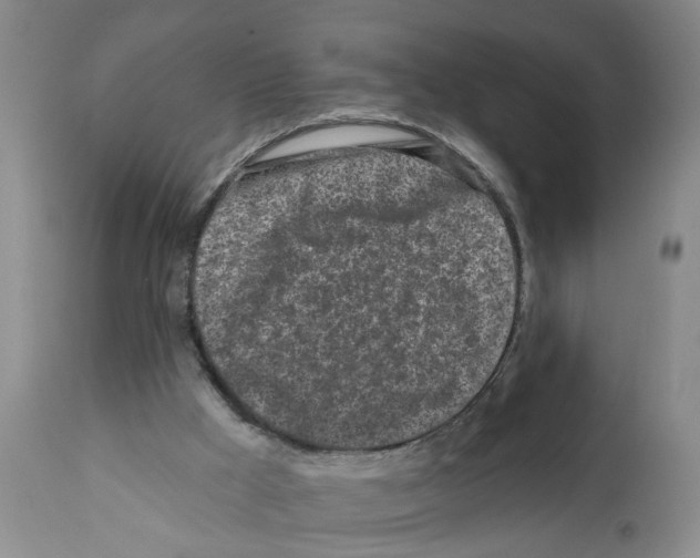 X0000112060009200909151036