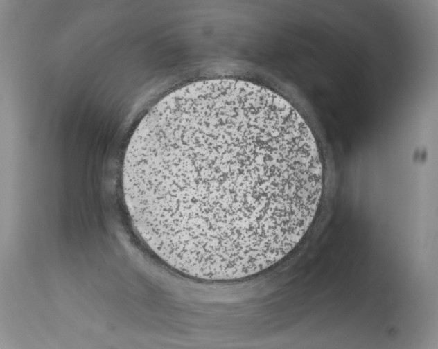 X0000112060010200909151036