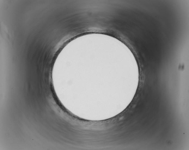 X0000112060011200909151036