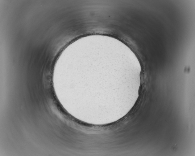 X0000112060012200909151036