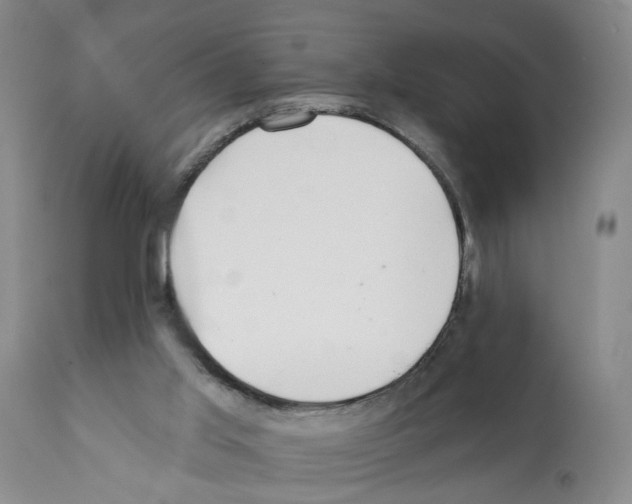 X0000112060013200909151036