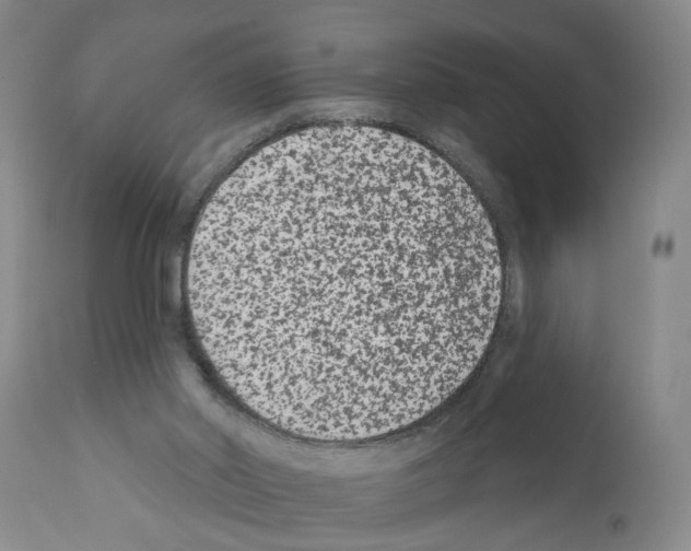 X0000112060014200909151036