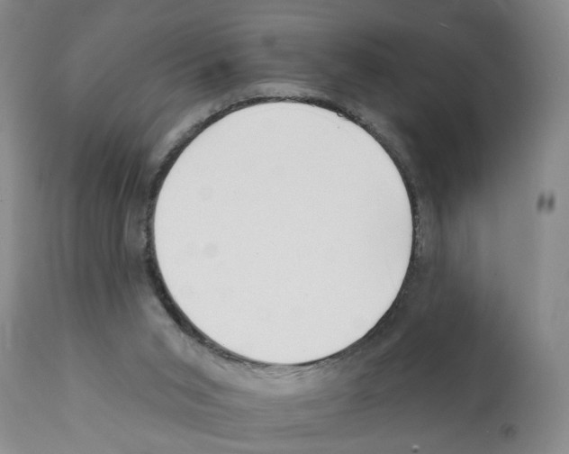 X0000112060015200909151036