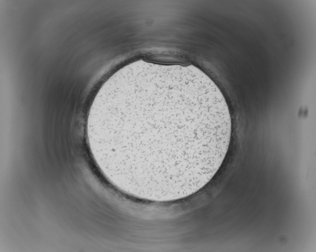 X0000112060016200909151036