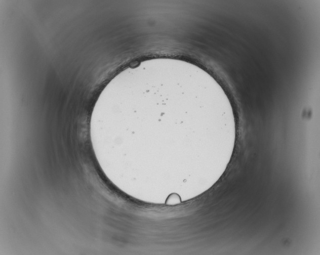 X0000112060017200909151036