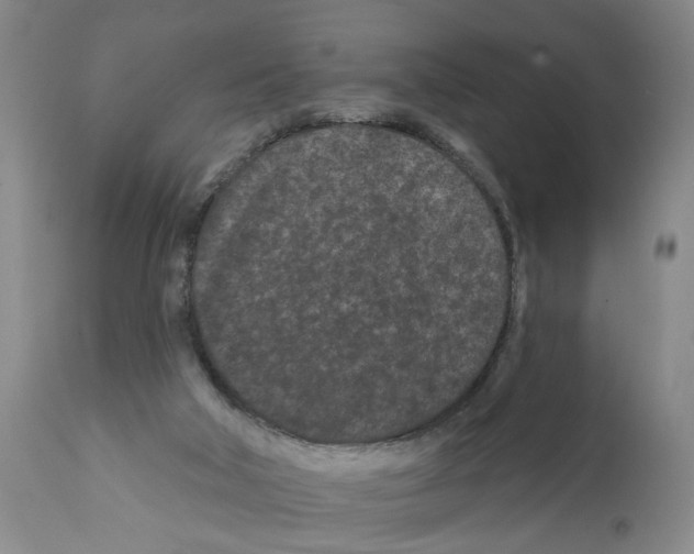 X0000112060018200909151036