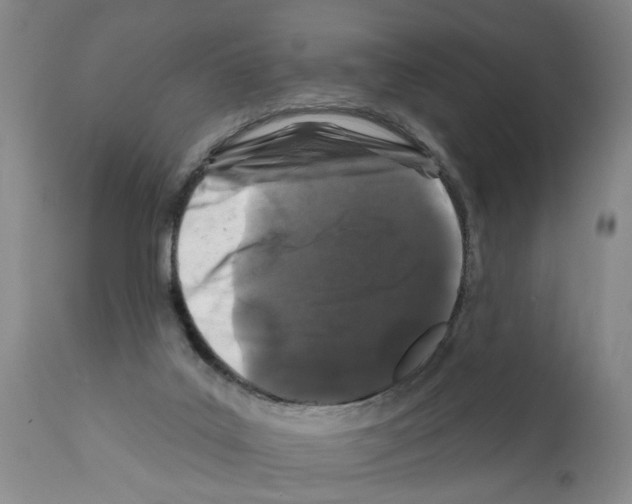 X0000112060019200909151036
