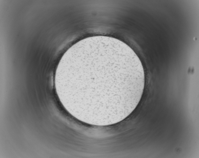 X0000112060020200909151036