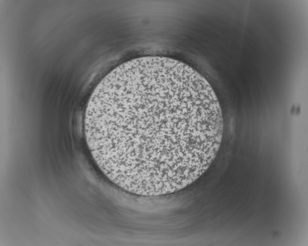 X0000112060022200909151036