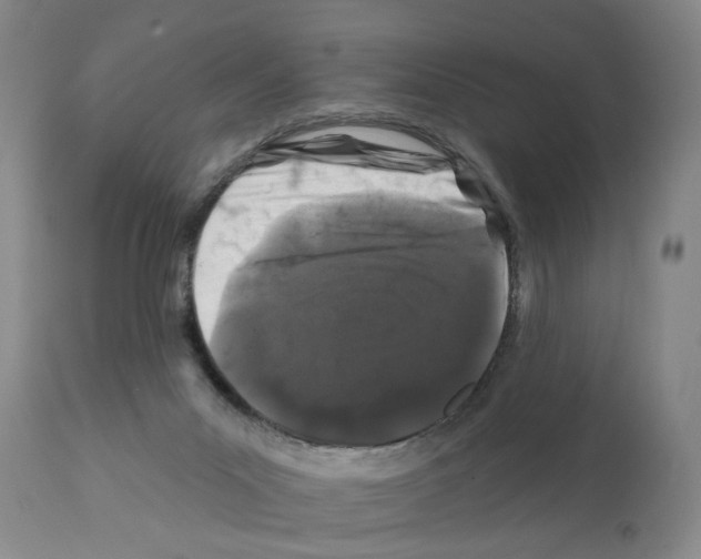 X0000112060023200909151036