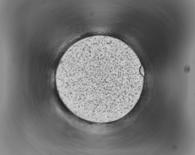 X0000112060024200909151036