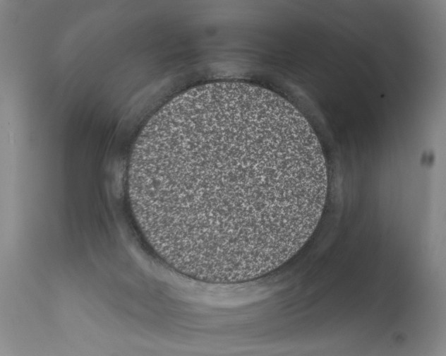 X0000112060026200909151036