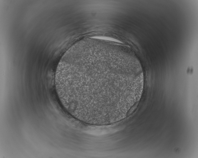 X0000112060029200909151036