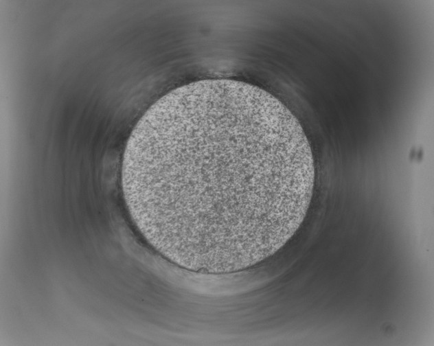 X0000112060030200909151036