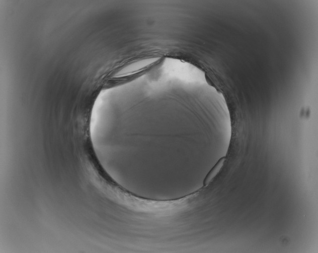 X0000112060031200909151036