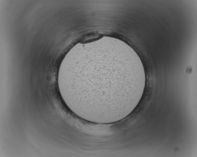X0000112060032200909151036