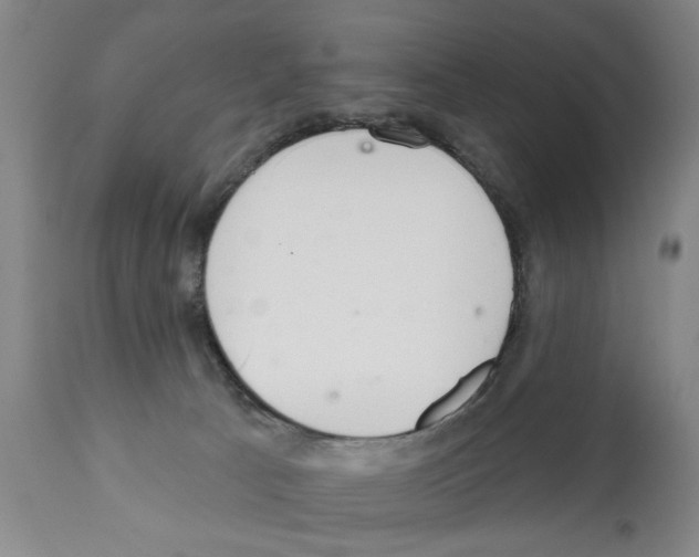 X0000112060033200909151036