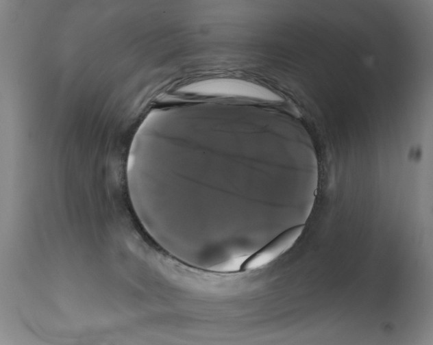 X0000112060035200909151036