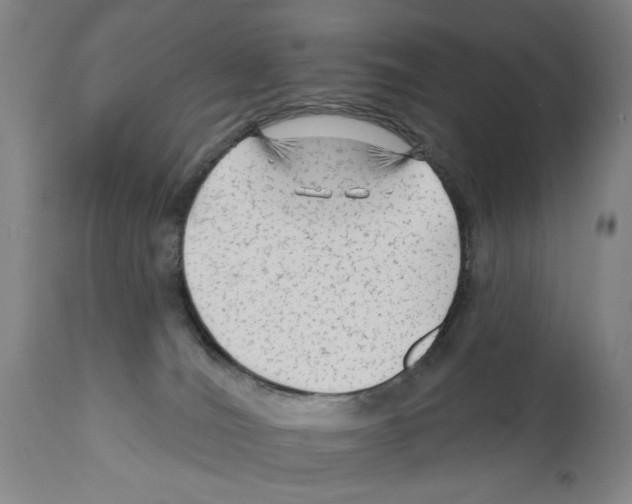 X0000112060036200909151036