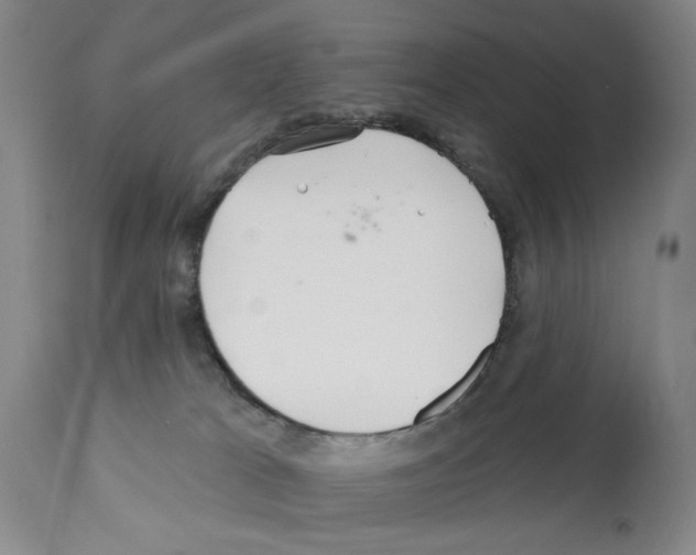 X0000112060037200909151036