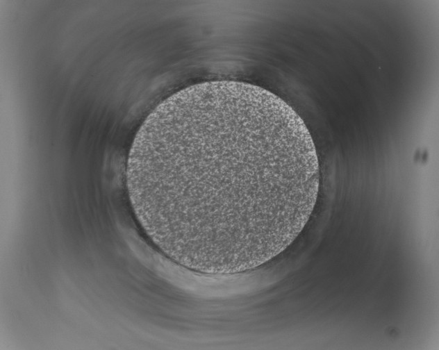 X0000112060038200909151036