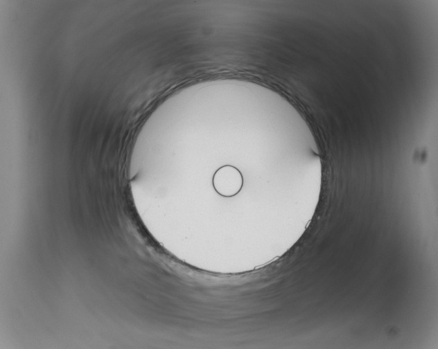 X0000112060039200909151036