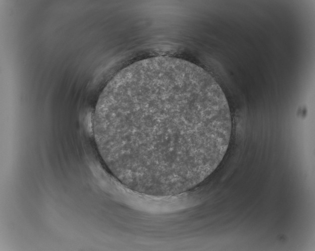 X0000112060042200909151036