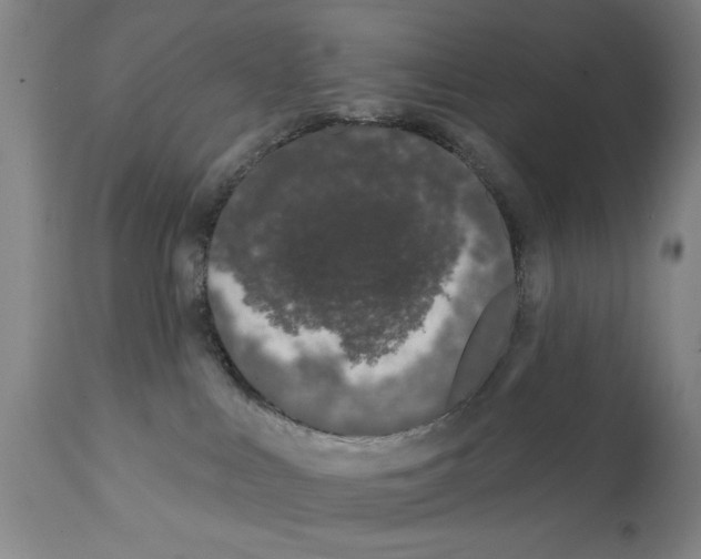 X0000112060043200909151036