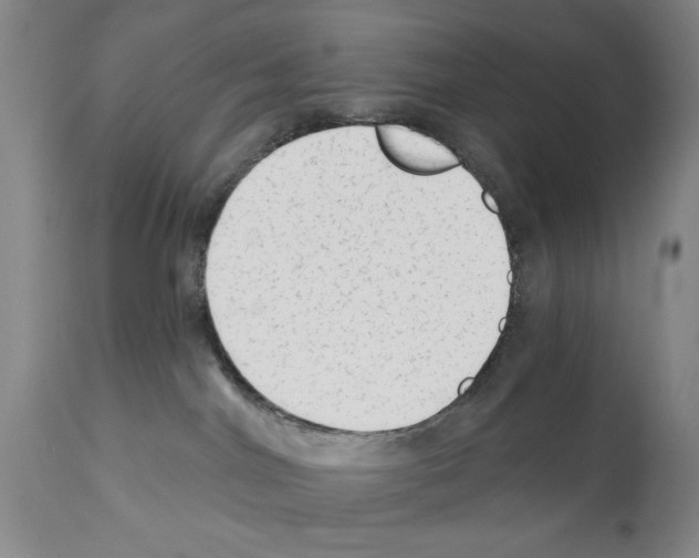 X0000112060044200909151036