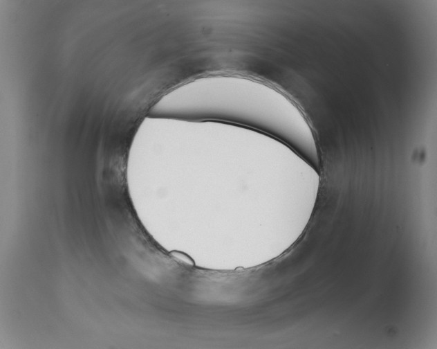 X0000112060045200909151036