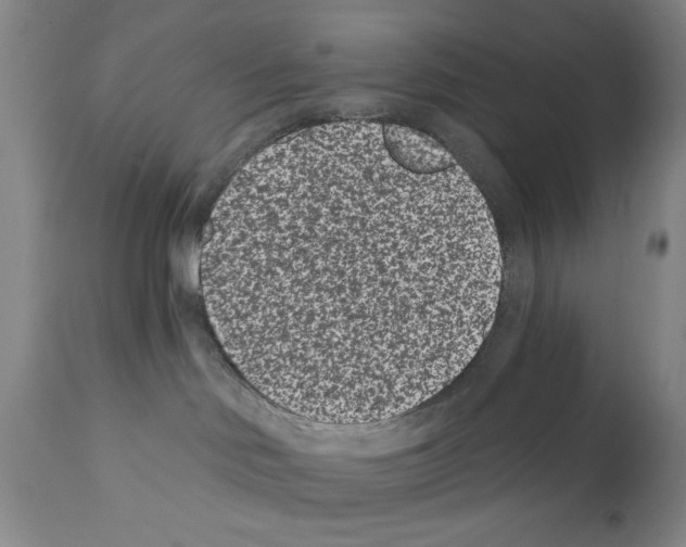 X0000112060046200909151036