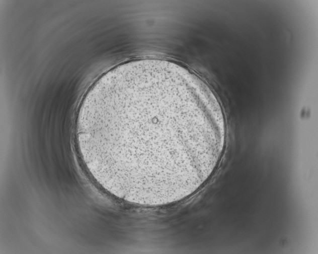 X0000112060049200909151035