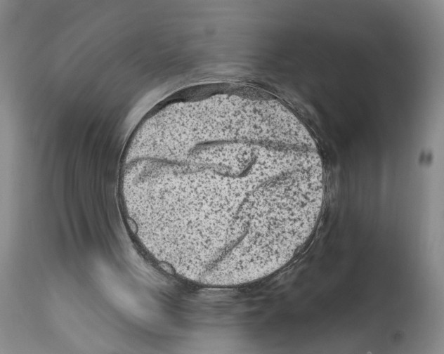 X0000112060051200909151035