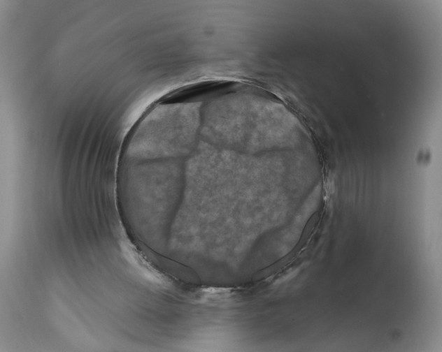 X0000112060052200909151035