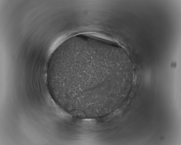X0000112060053200909151035