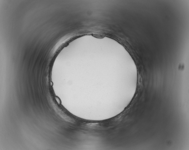 X0000112060054200909151035