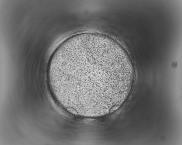 X0000112060055200909151035