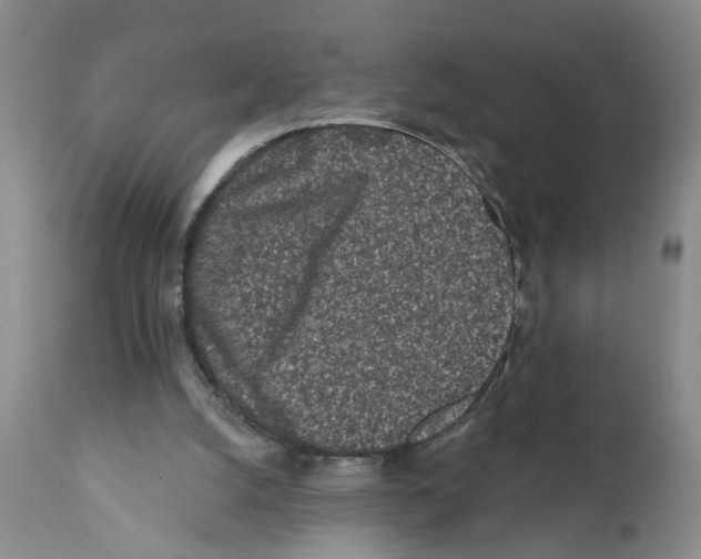 X0000112060056200909151035