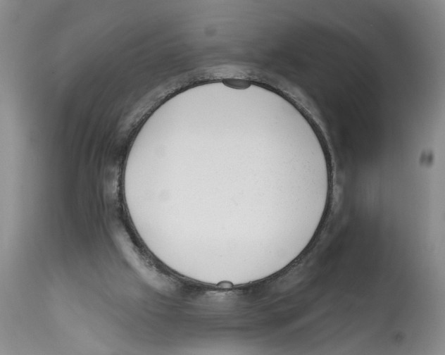 X0000112060057200909151035