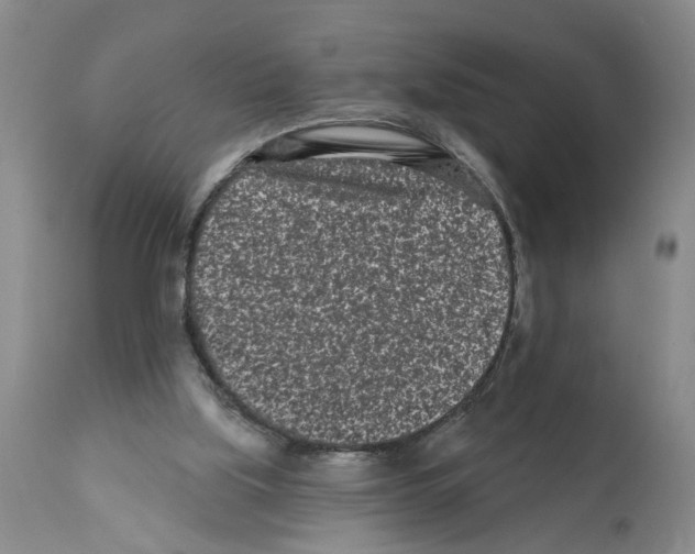 X0000112060059200909151035