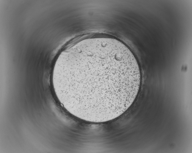 X0000112060060200909151035